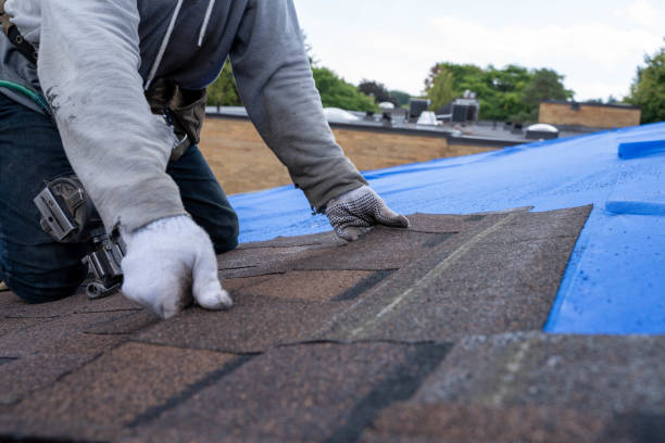 Quick and Trustworthy Emergency Roof Repair Services in Cold Spring, MN