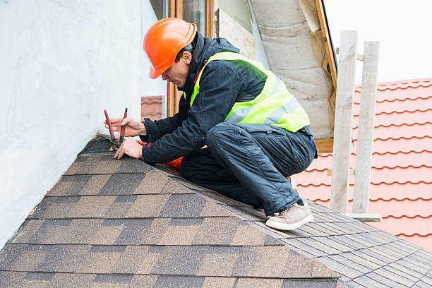 Best Flat Roof Repair Services  in Cold Spring, MN